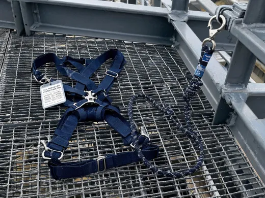 Fall protection harness and lanyard